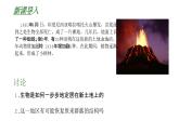高中生物人教版（2019）選擇性必修2第二章2.3《群落的演替》課件+同步練習