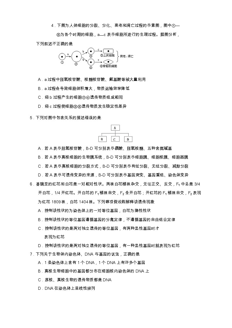 四川省遂宁市2022-2023学年高一生物下学期期末监测试题（Word版附答案）02