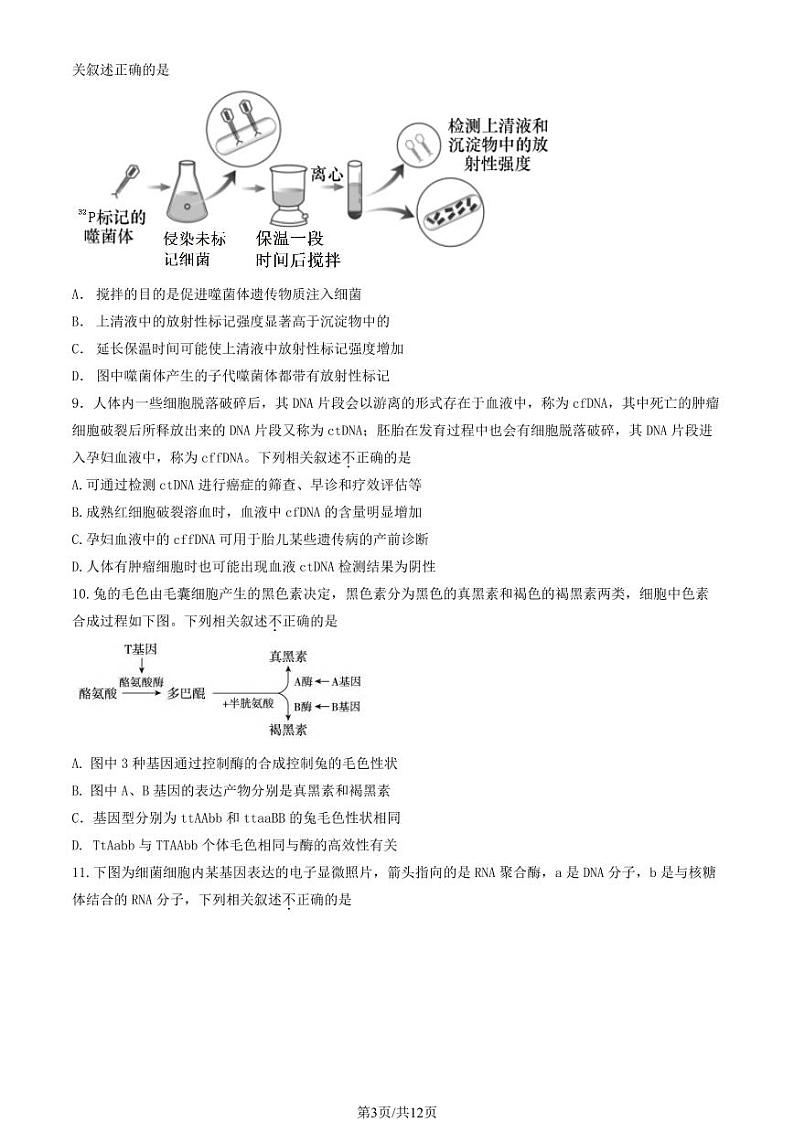 2022-2023学年北京朝阳区高一下学期期末生物试题及答案03