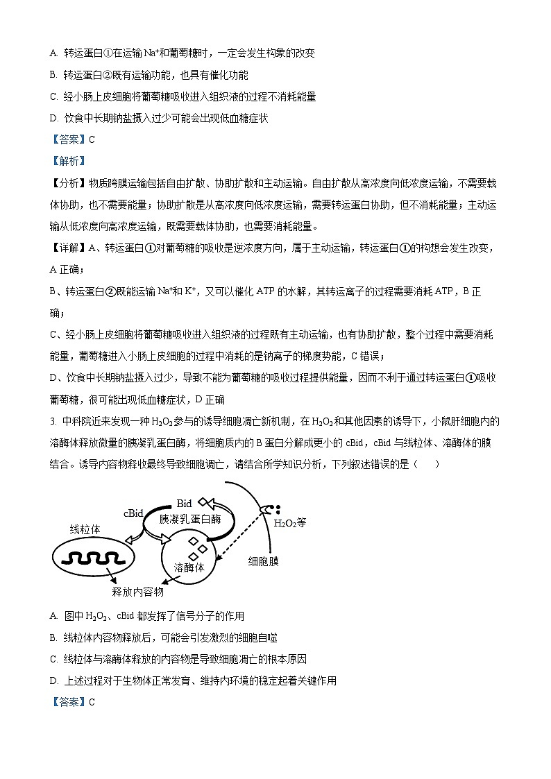 重庆市巴蜀中学2022-2023学年高二生物下学期期末试题（Word版附解析）02