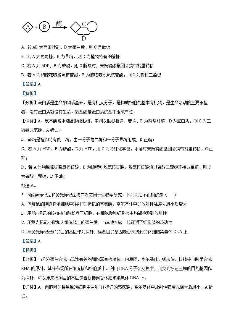 重庆市西南大学附属中学2022-2023学年高二生物下学期期末试题（Word版附解析）02