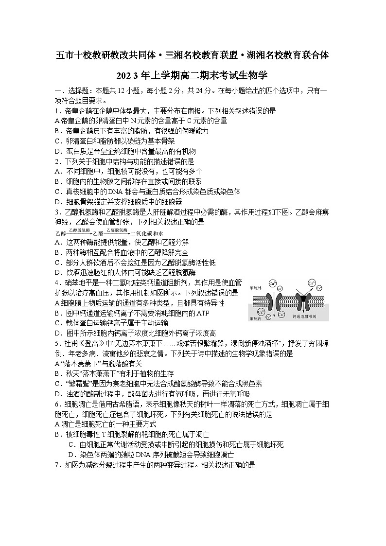 2023湖南省五市十校教研教改共同体・湖湘名校教育联合体高二下学期期末考试生物试题含答案01