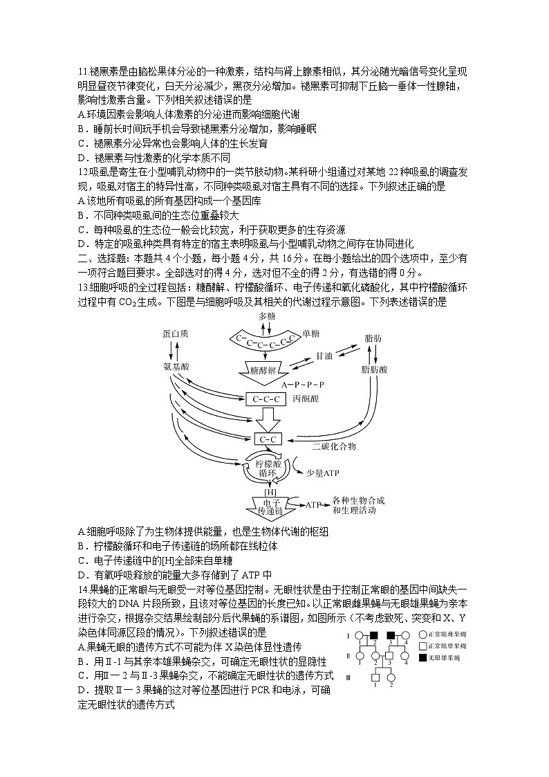 2023湖南省五市十校教研教改共同体・湖湘名校教育联合体高二下学期期末考试生物试题含答案03