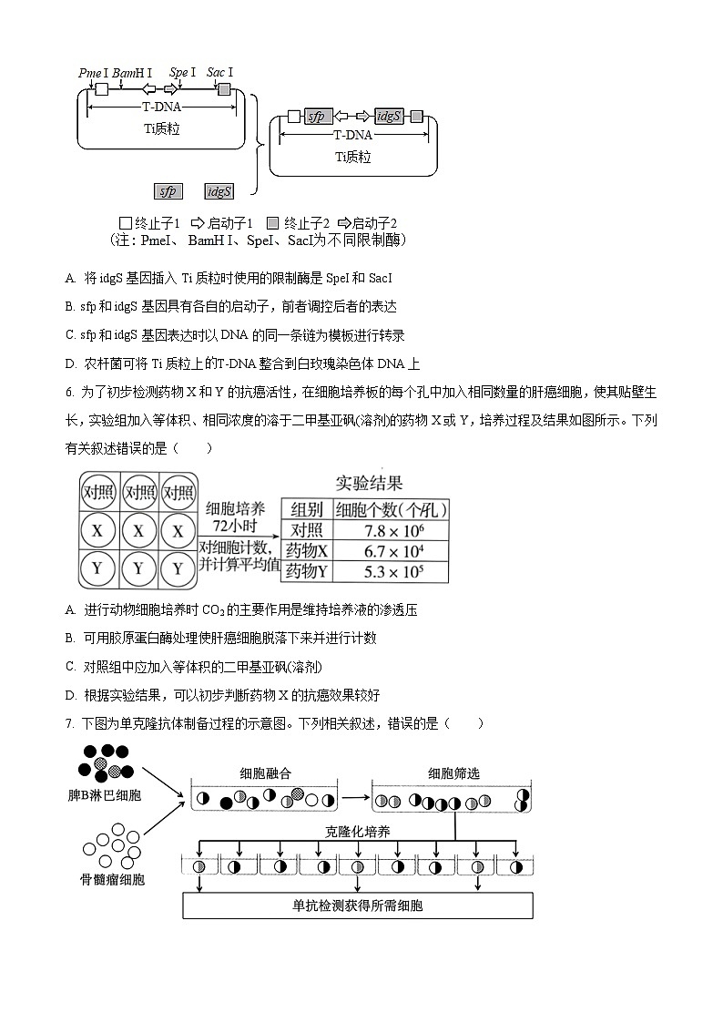 2023武汉部分学校联合体高二下学期期末联考生物试题含解析02
