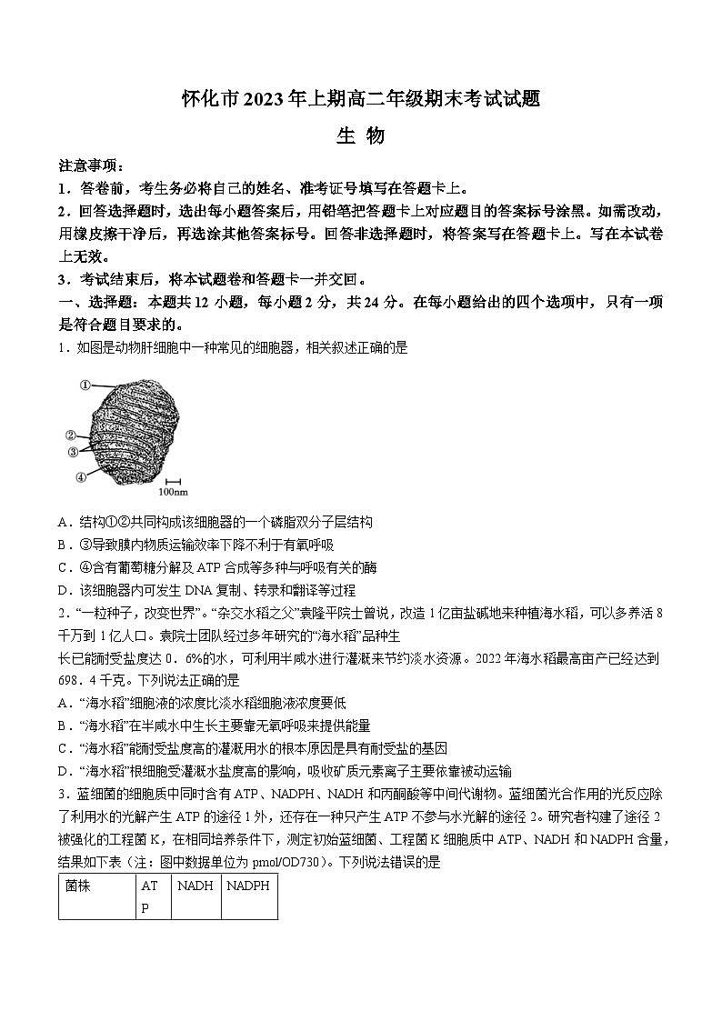2023怀化高二下学期期末考试生物试题含答案01