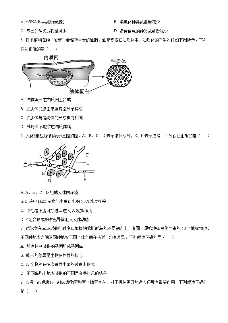 2023金华十校高二下学期期末生物试题含解析02