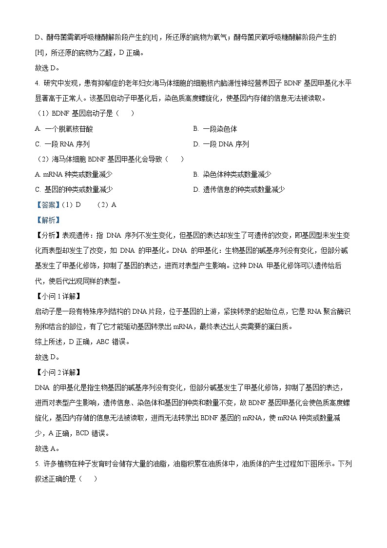 2023金华十校高二下学期期末生物试题含解析03