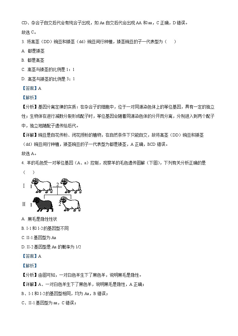 2023马鞍山高一下学期期末考试生物试题含解析02