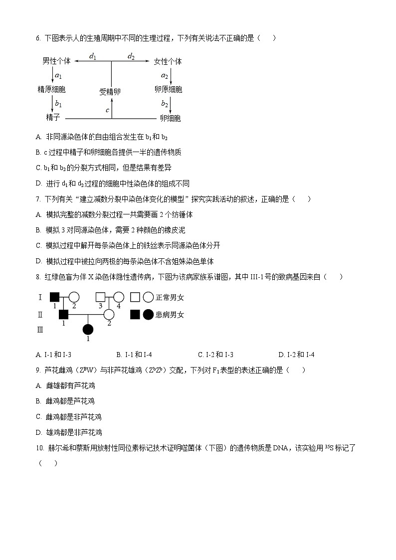 2023马鞍山高一下学期期末考试生物试题含解析02