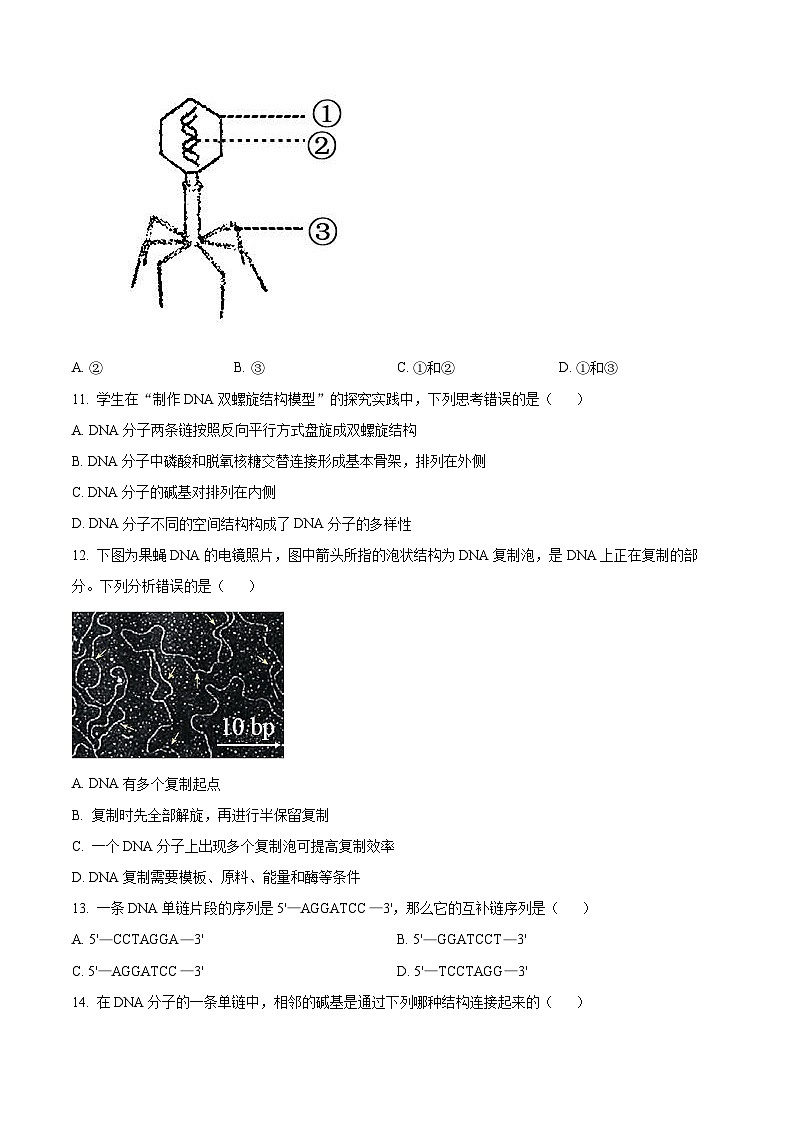 2023马鞍山高一下学期期末考试生物试题含解析03