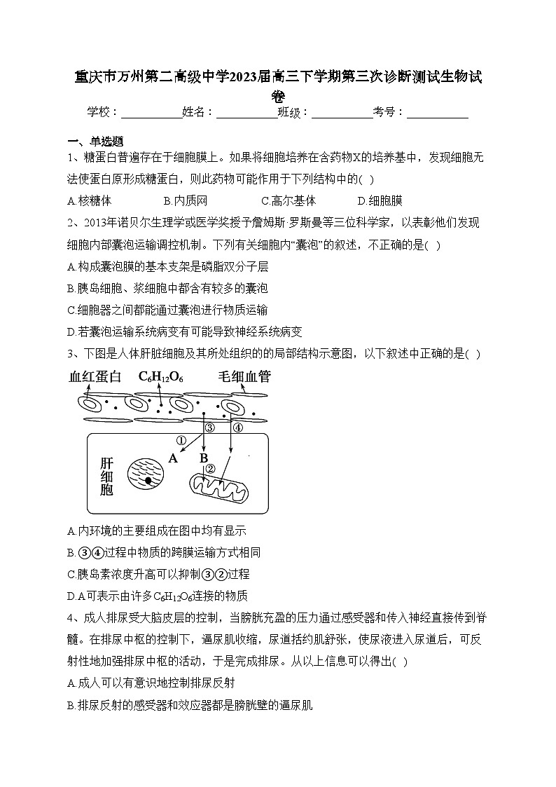 重庆市万州第二高级中学2023届高三下学期第三次诊断测试生物试卷（含答案）01