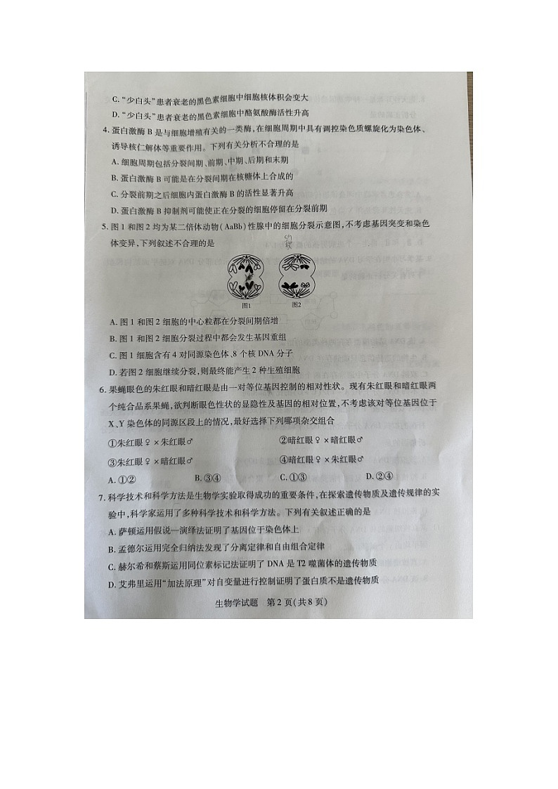 海南省2022-2023学年高一下学期期末学业水平诊断生物试题02