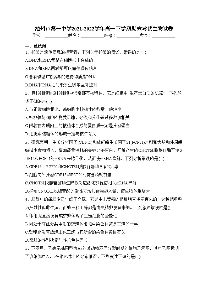 池州市第一中学2021-2022学年高一下学期期末考试生物试卷（含答案）01