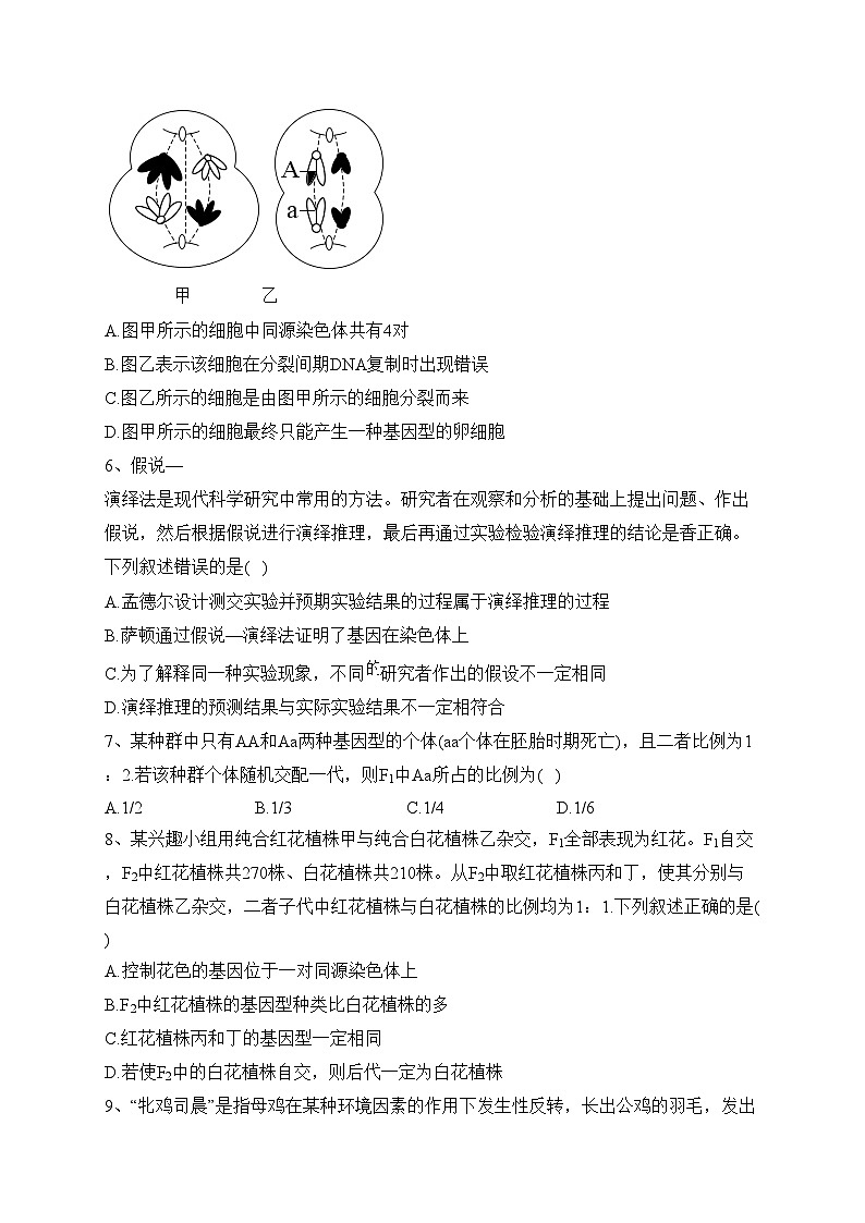 池州市第一中学2021-2022学年高一下学期期末考试生物试卷（含答案）02