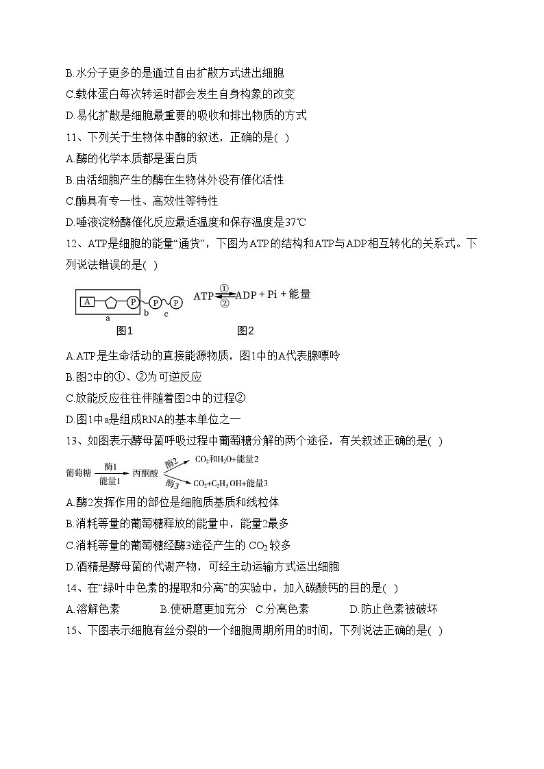 新疆乌鲁木齐市五校联考2022-2023学年高二下学期期末考试生物试卷（含答案）03