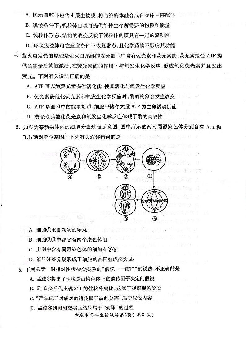 安徽省宣城市2022-2023高二下学期期末生物试卷+答案02
