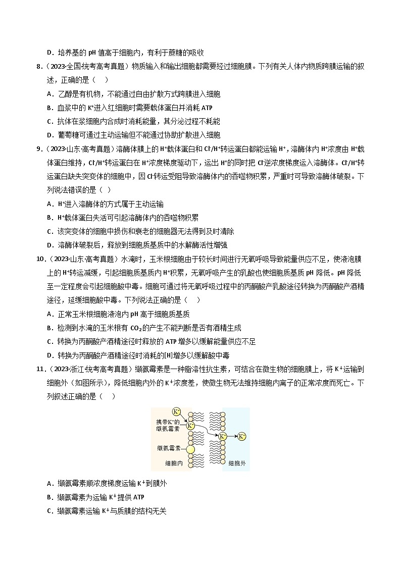 2023年高考真题和模拟题生物分项汇编（全国通用）专题02 物质进出细胞、酶和ATP（原卷版）03