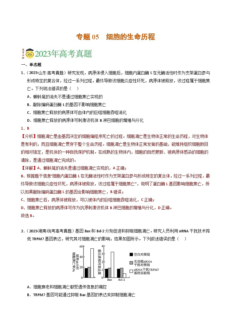 2023年高考真题和模拟题生物分项汇编（全国通用）专题05 细胞的生命历程（解析版）01