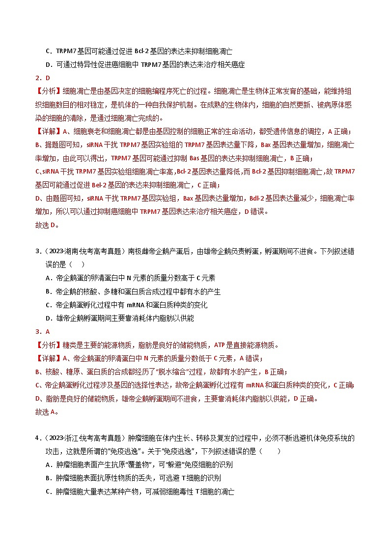 2023年高考真题和模拟题生物分项汇编（全国通用）专题05 细胞的生命历程（解析版）02