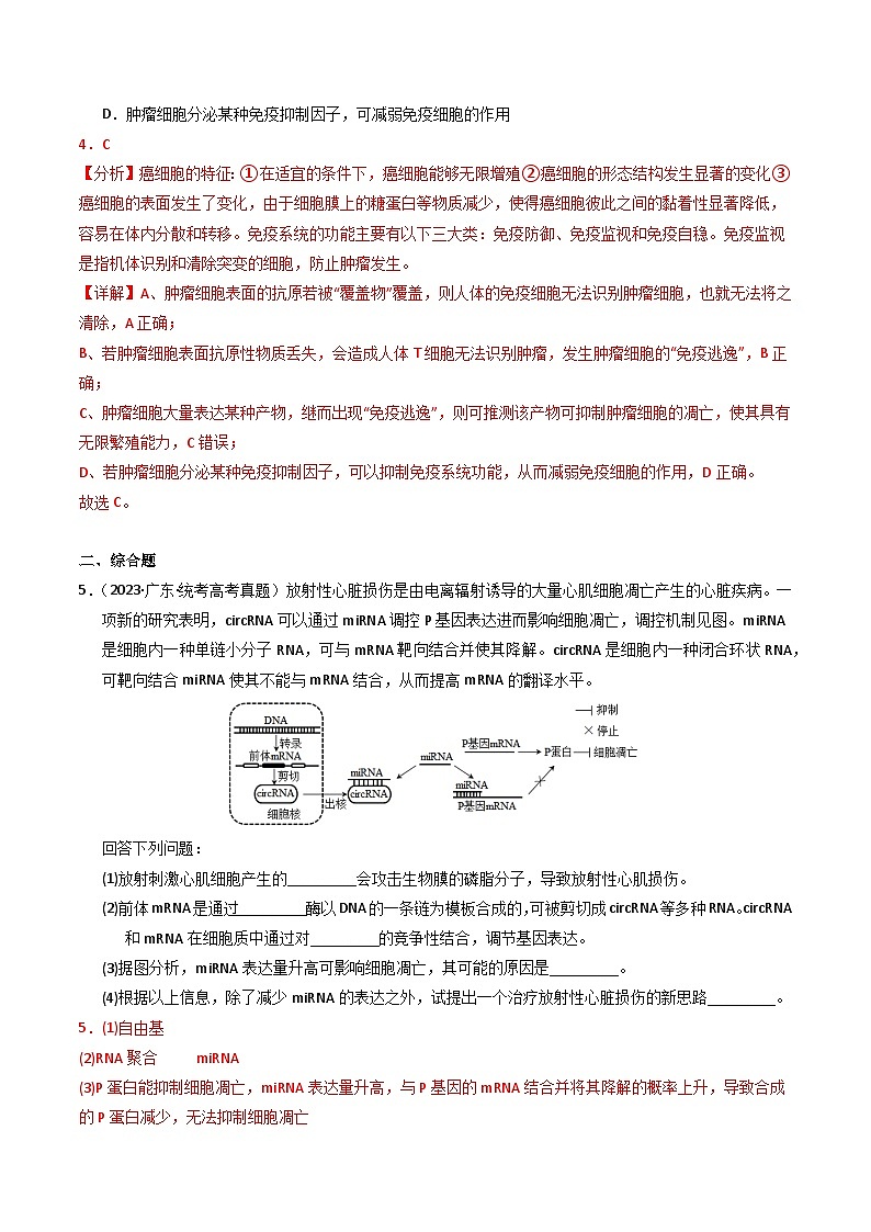 2023年高考真题和模拟题生物分项汇编（全国通用）专题05 细胞的生命历程（解析版）03