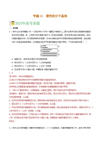 2023年高考真题和模拟题生物分项汇编（全国通用）专题06 遗传的分子基础（解析版）