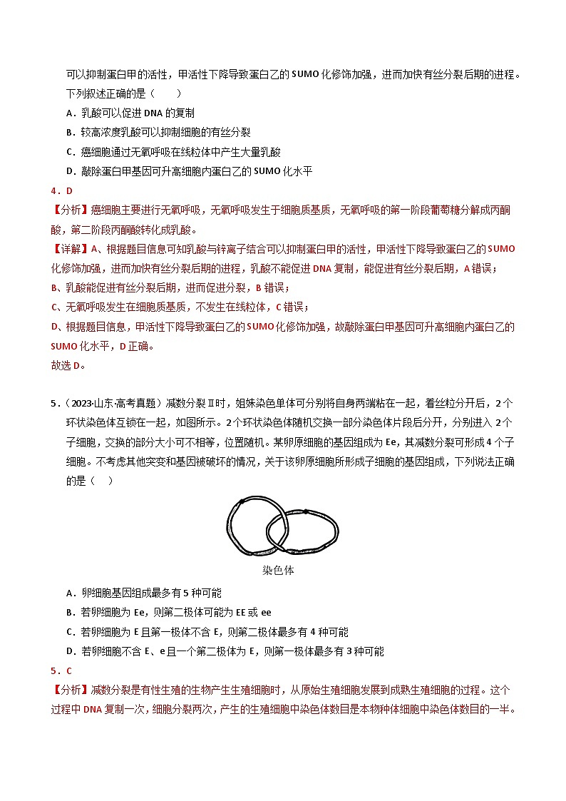 2023年高考真题和模拟题生物分项汇编（全国通用）专题04 有丝分裂和减数分裂（解析版）03