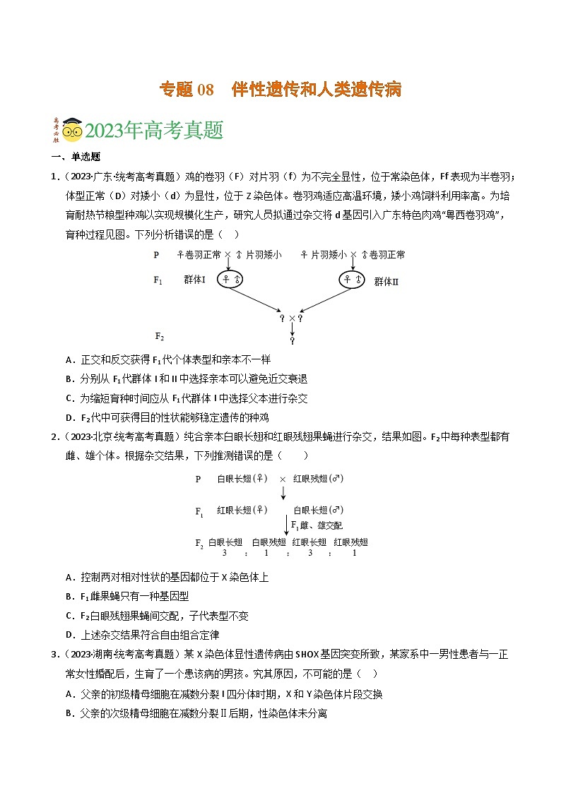 2023年高考真题和模拟题生物分项汇编（全国通用）专题08 伴性遗传和人类遗传病（原卷版）01
