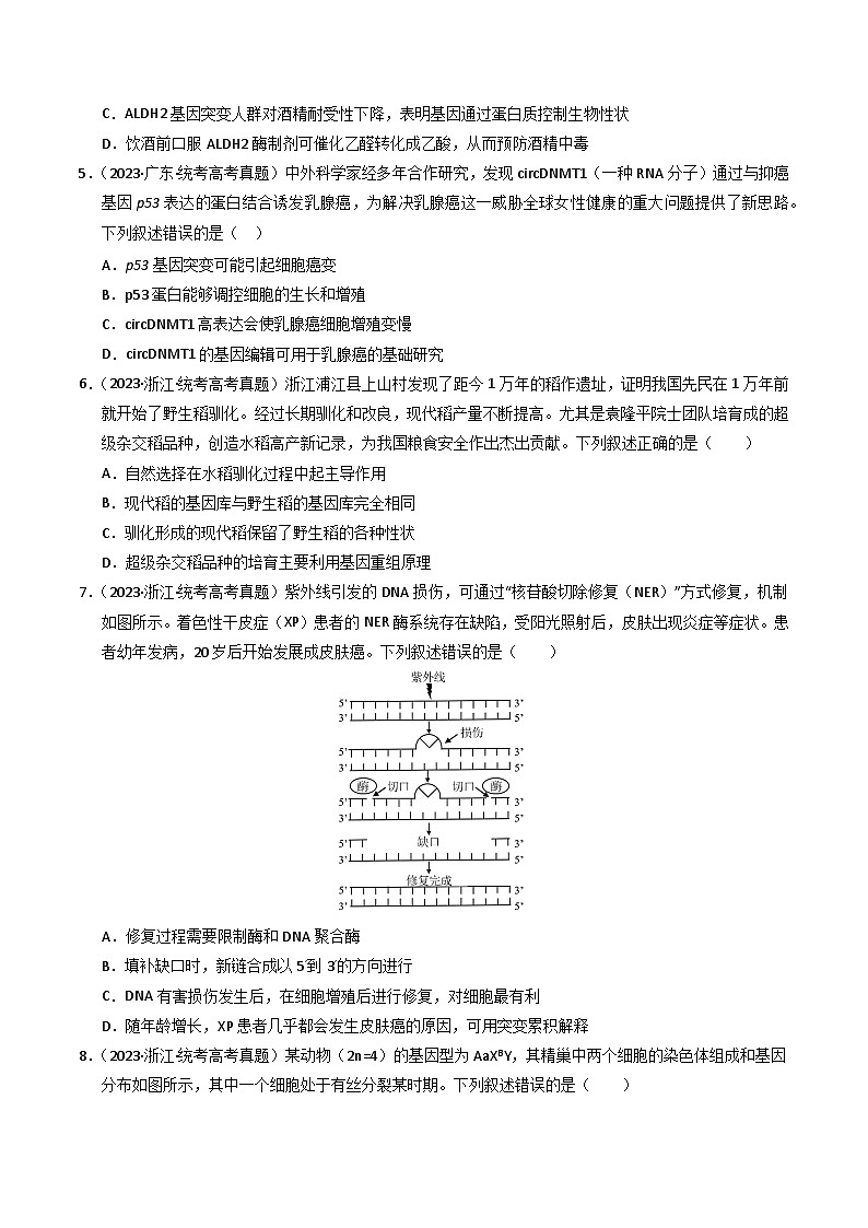 2023年高考真题和模拟题生物分项汇编（全国通用）专题09 变异、育种与进化（原卷版）02