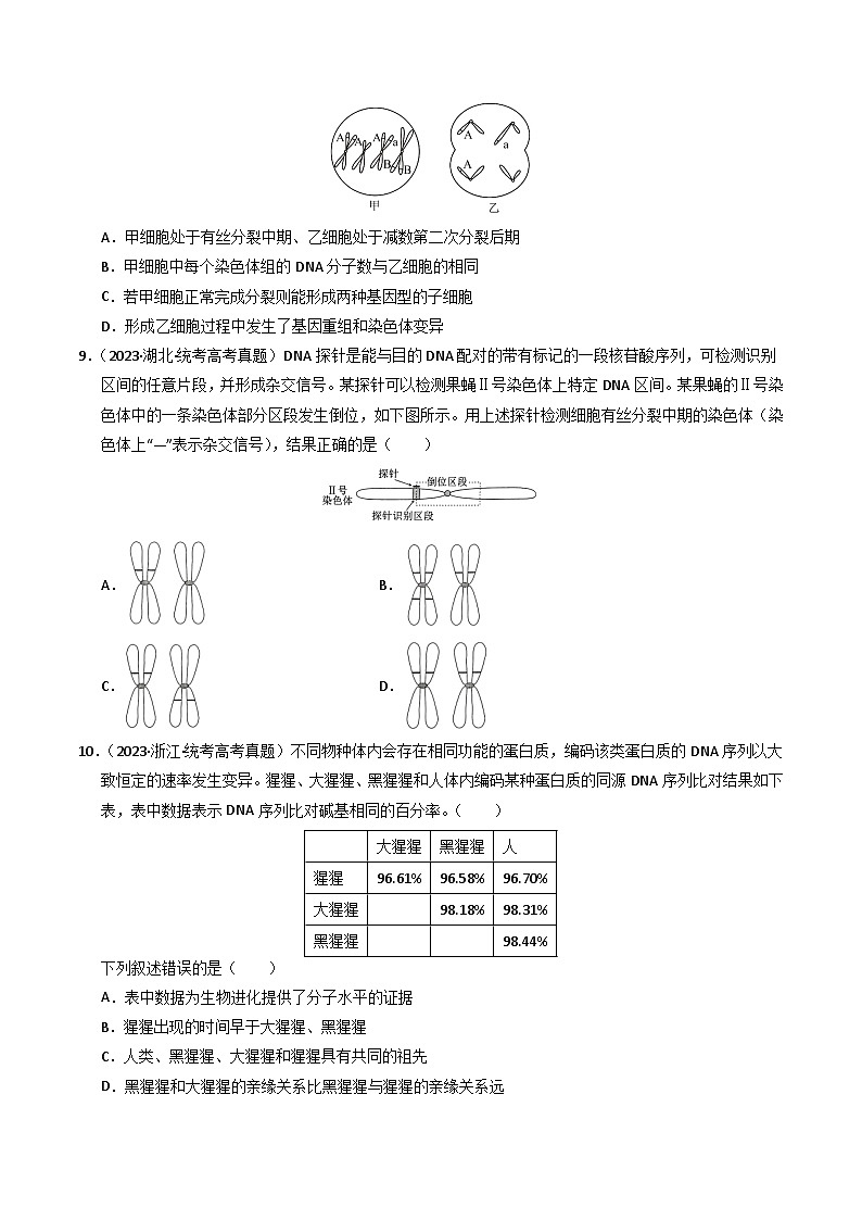 2023年高考真题和模拟题生物分项汇编（全国通用）专题09 变异、育种与进化（原卷版）03