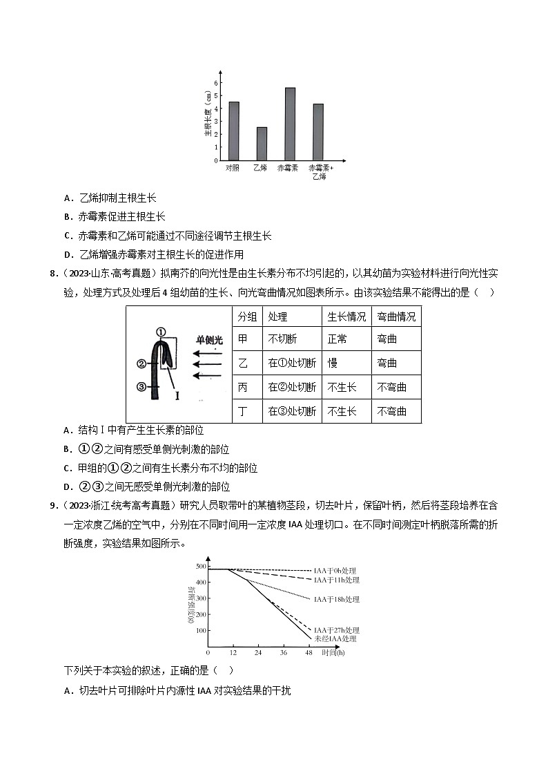 2023年高考真题和模拟题生物分项汇编（全国通用）专题10 植物的激素调节（原卷版）03