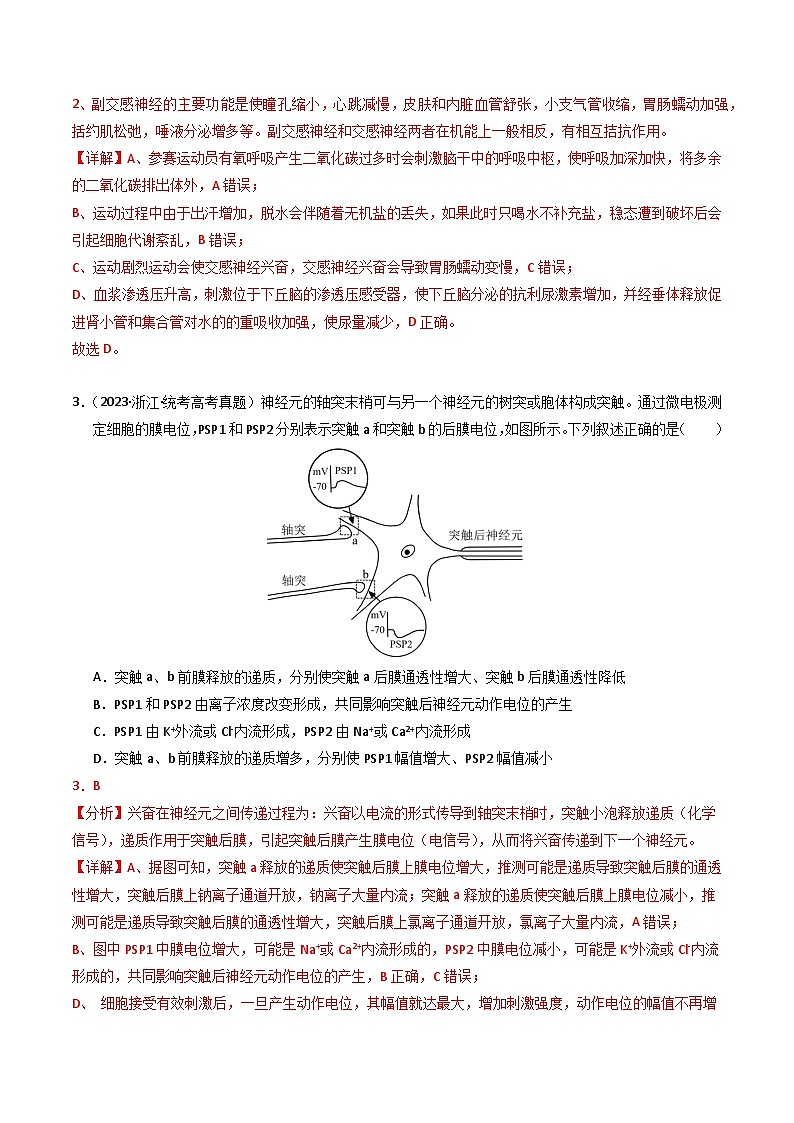2023年高考真题和模拟题生物分项汇编（全国通用）专题12 神经调节（解析版）02