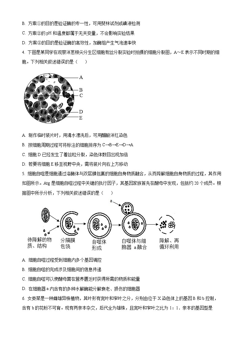 2023滁州高一下学期期末考试生物试题含答案02