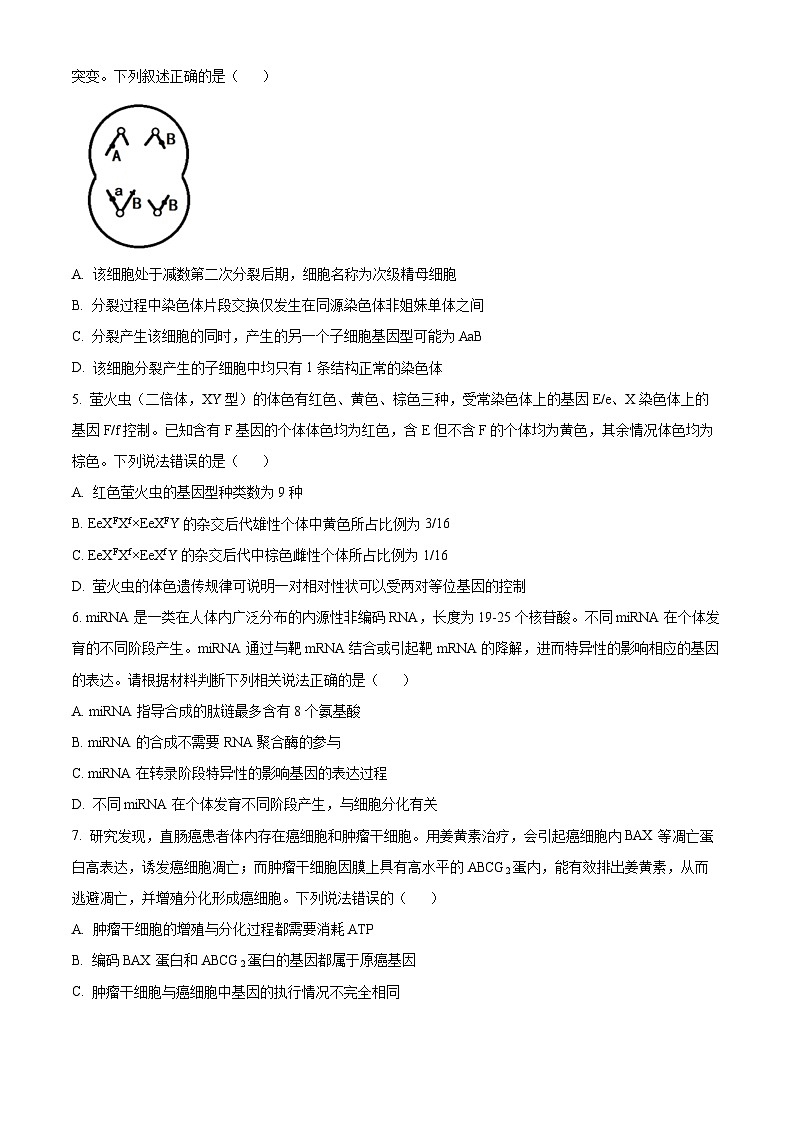 湖南省岳阳市湘阴县2022-2023学年高一7月期末生物试题无答案第2页