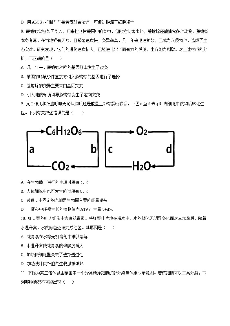 湖南省岳阳市湘阴县2022-2023学年高一7月期末生物试题无答案第3页