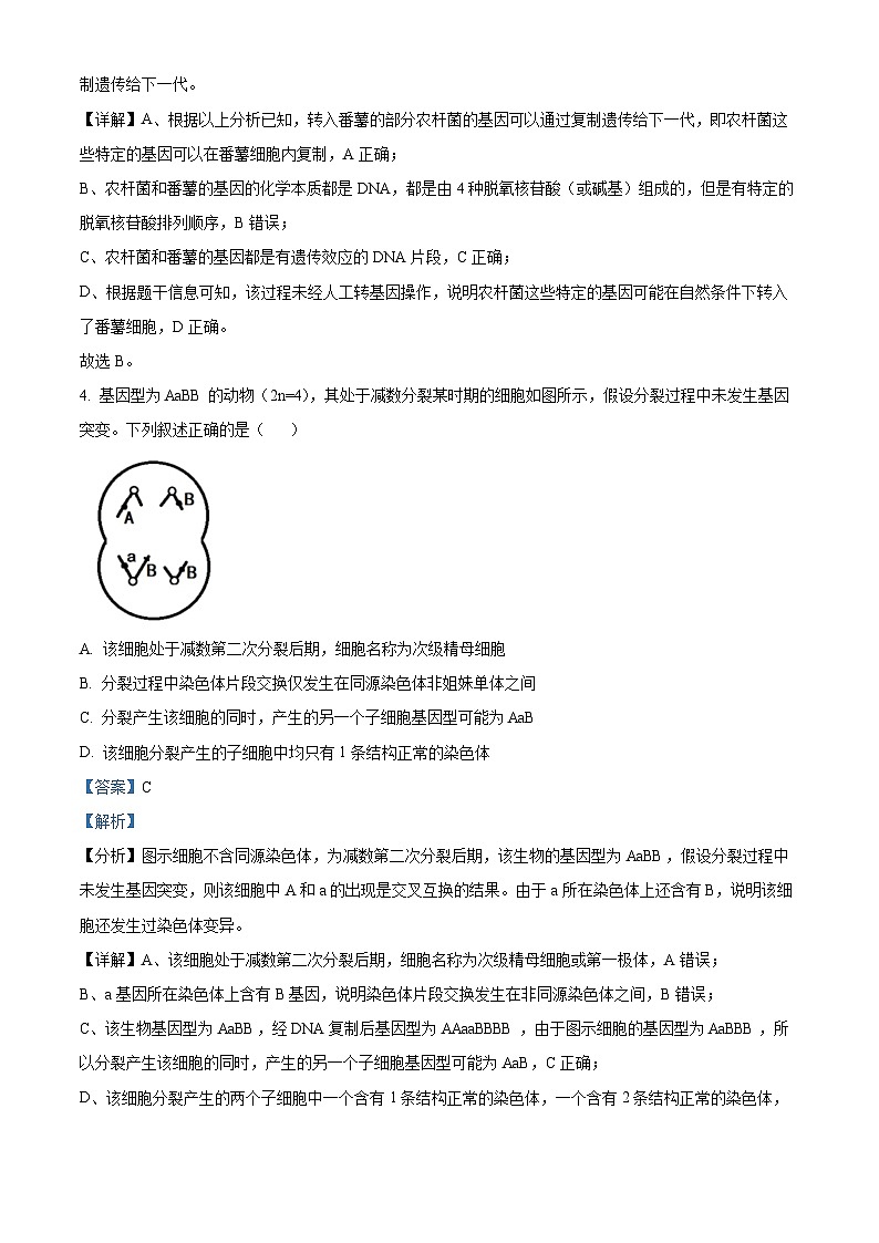 湖南省岳阳市湘阴县2022-2023学年高一7月期末生物试题含解析第3页