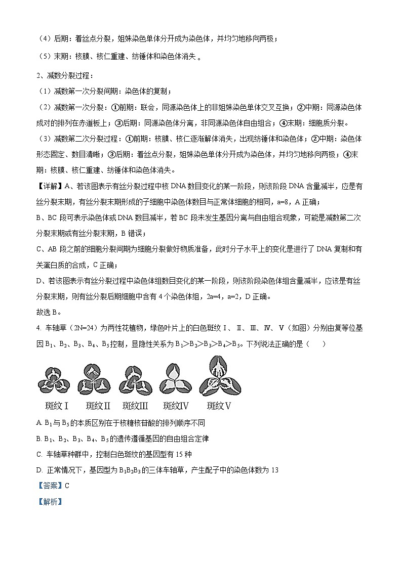 湖北省武汉外国语学校2022-2023学年高一下学期期末生物试题含解析第3页