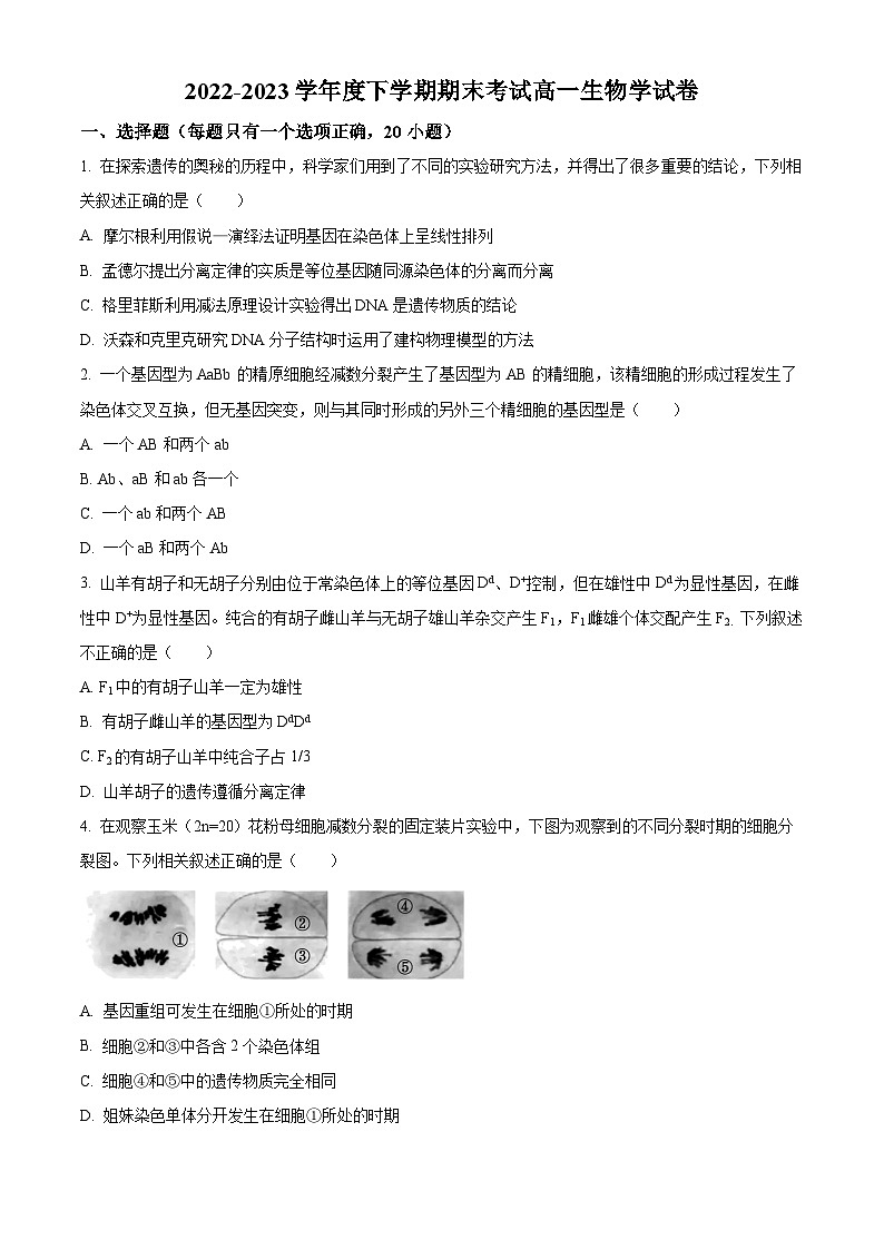 2023湖北省新高考联考协作体高一下学期期末生物试题含解析01