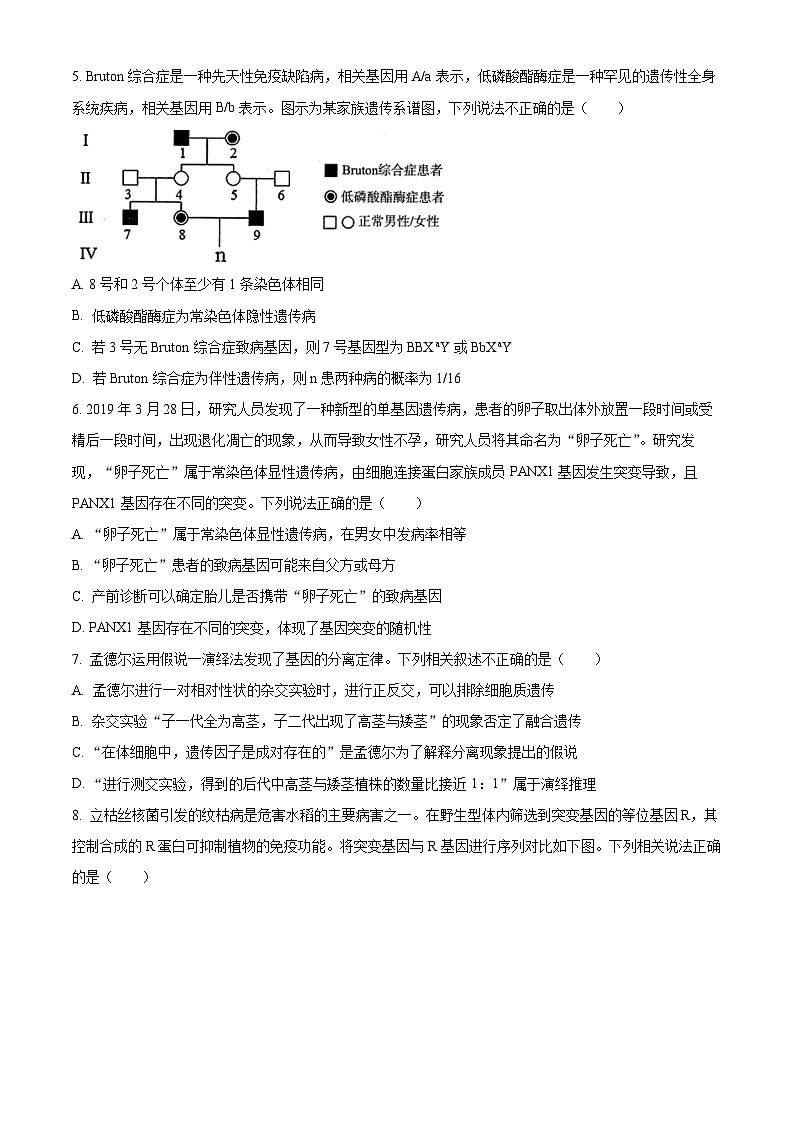 2023湖北省新高考联考协作体高一下学期期末生物试题含解析02