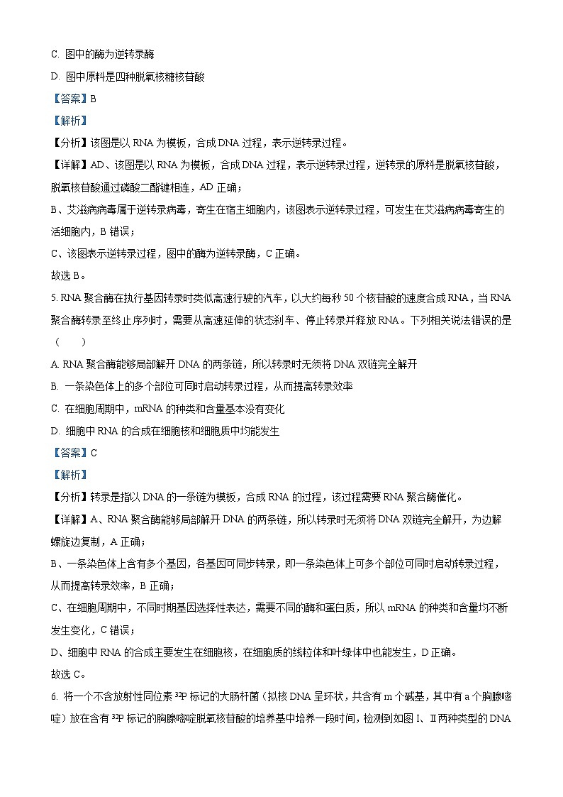 2023武汉部分学校联合体高一下学期期末联考生物试题含解析03