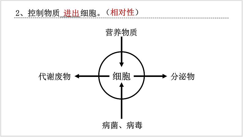 人教版2019必修一高中生物学3.1《细胞膜的结构和功能》课件+同步分层练习06