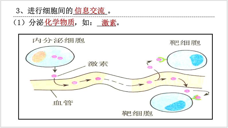 人教版2019必修一高中生物学3.1《细胞膜的结构和功能》课件+同步分层练习08