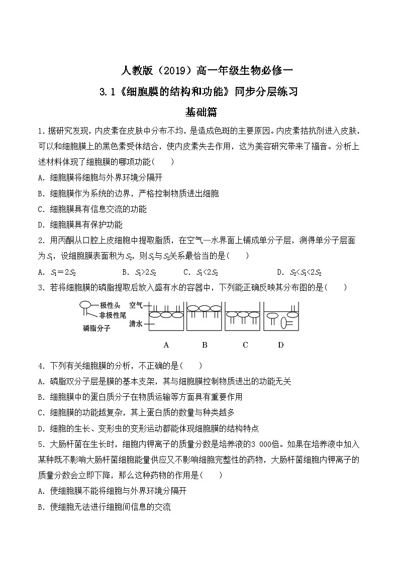 人教版2019必修一高中生物学3.1《细胞膜的结构和功能》课件+同步分层练习01