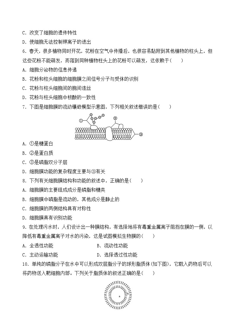 人教版2019必修一高中生物学3.1《细胞膜的结构和功能》课件+同步分层练习02