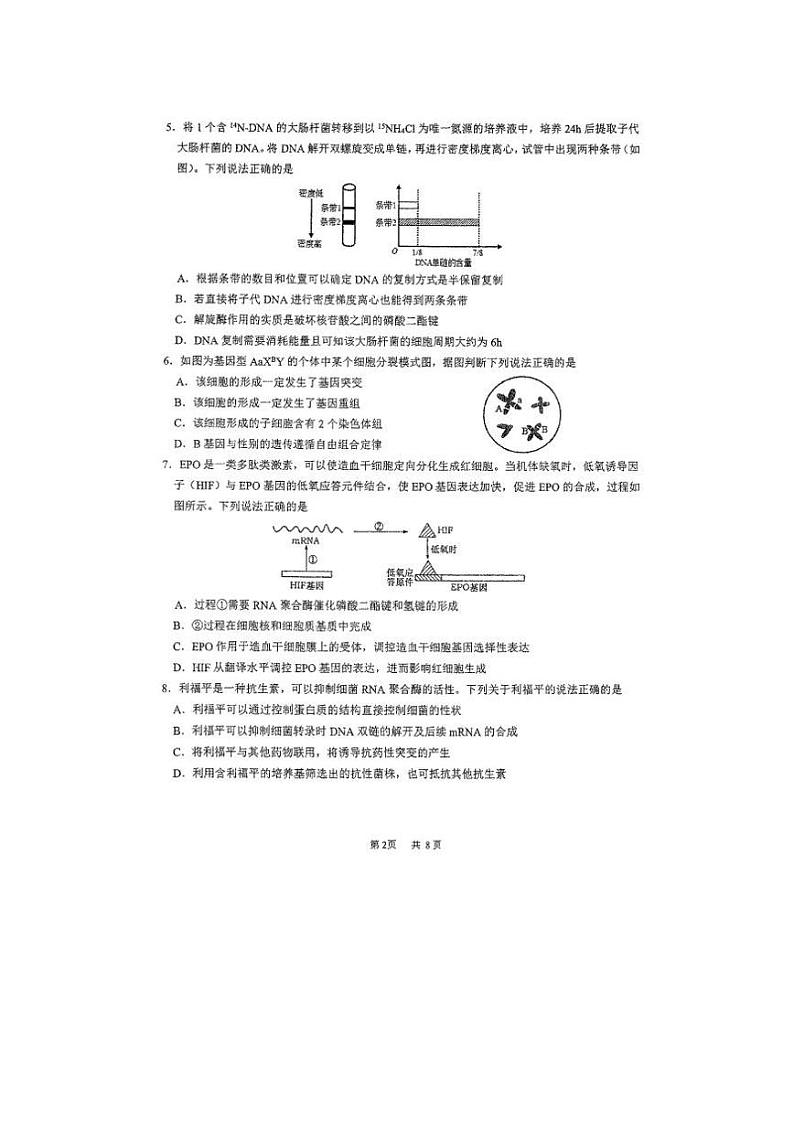 福建省厦门市第一中学2022-2023学年高一下学期6月月考生物试题第2页
