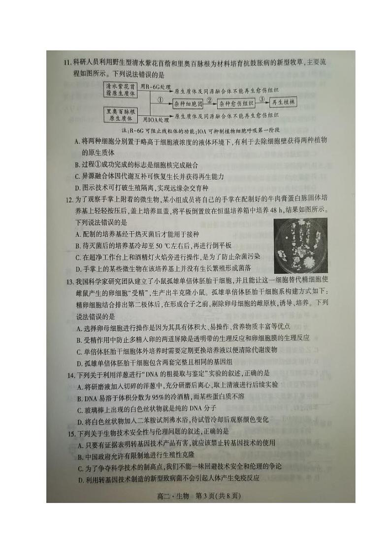 辽宁省沈阳市联合体2022-2023高二下学期期末检测生物试卷+答案03