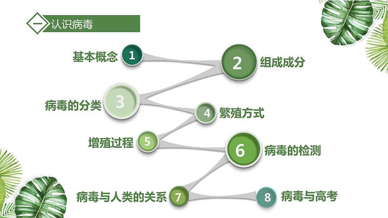 高考生物一轮复习精品课件专题1.1 走进细胞（含解析）第8页