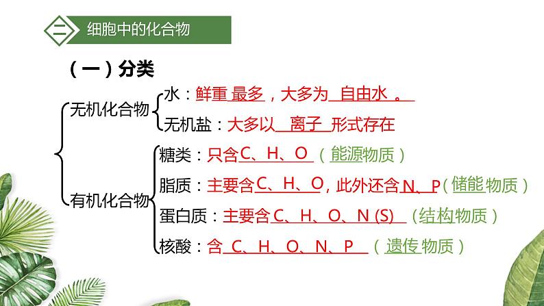 高考生物一轮复习精品课件专题1.2 细胞中的元素和化合物（含解析）第8页