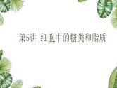 高考生物一轮复习精品课件专题1.5 细胞中的糖类和脂质（含解析）