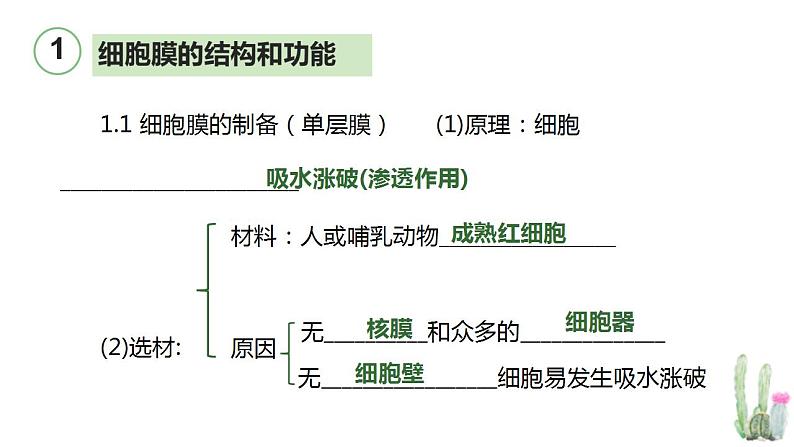 高考生物一轮复习精品课件专题2.1 细胞膜和细胞核（含解析）第5页