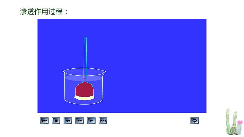 高考生物一轮复习精品课件专题2.3 物质跨膜运输的方式和实例（含解析）第6页